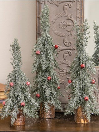Sparkling Evergreen Decor - 3 options!
