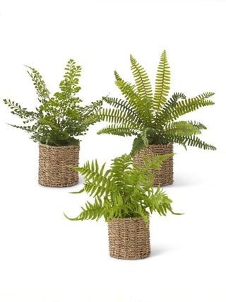 Fancy Seeing You Decor - Multiple Options!