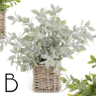 Artificial herb plant in woven basket, light gray-green leaf clusters