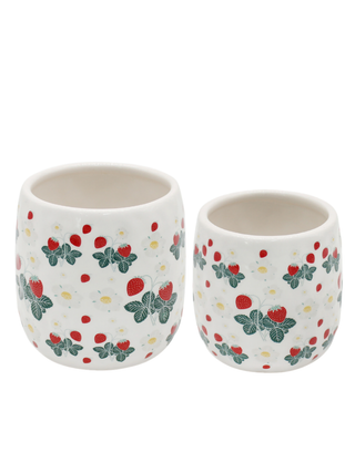 Berries in Bloom Ceramic Planter - Multiple Options