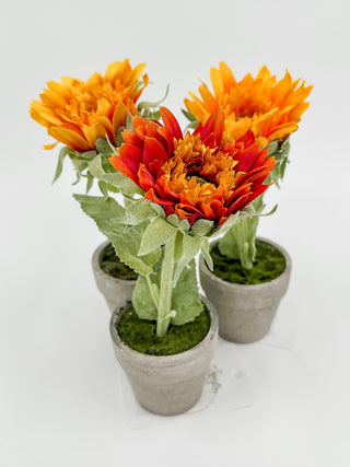 Potted sunflower decor with orange and red blooms in two gray mini planters