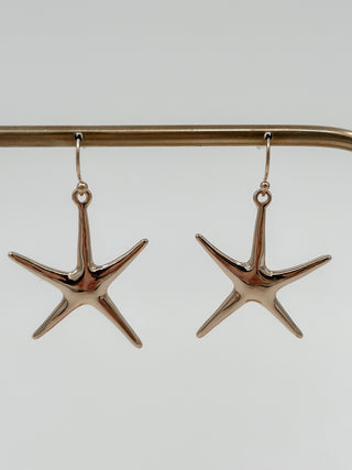 Star of The Show Dangle Earrings - 2 options!
