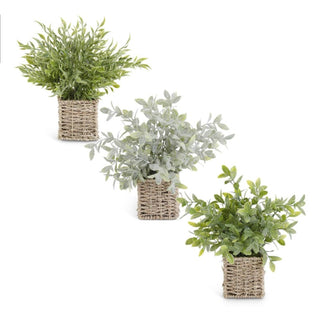 Set of three artificial herb plants in woven baskets, green and gray leaves