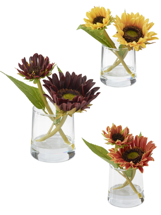 Sunflower stems in clear glass vases, mixed wine red and orange blooms with green leaves