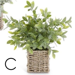 Artificial herb plant in woven basket, fresh green leaves
