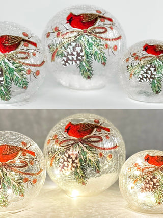 The Bird of Winter LED Globe - 3 options!