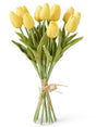 Dark Yellow