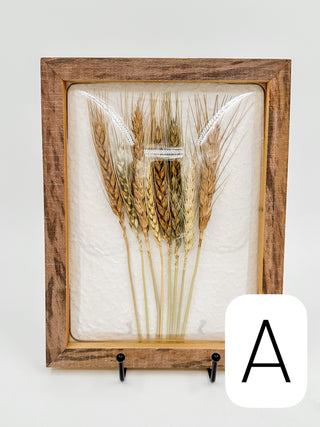 Framed dried flower pod wall decor with wheat stalks and grain heads