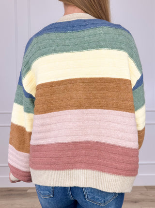 Multicolor stripe knit cardigan with ribbed collar and button-front, striped back