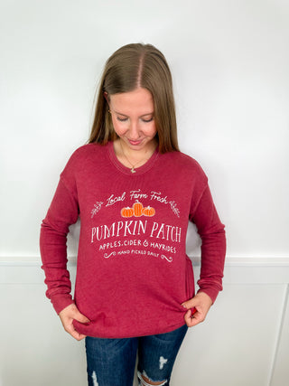 Farm Fresh Pumpkins Cotton Blend Long Sleeve Avery Mae Graphic Crewneck Sweatshirt - 3 colors!