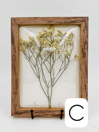 Framed dried flower pod wall decor with branching stems and pale seed clusters