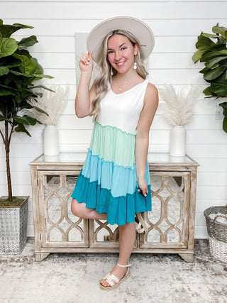 You Drive Color Block Dress - 2 colors!