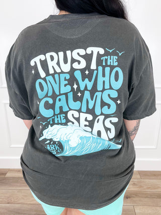 The One Who Calms Cotton Short Sleeve Charcoal Avery Mae Graphic Tee Shirt (Comfort Colors)