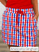 Americana Gingham