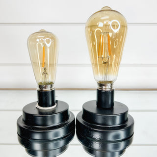 Cordless Vintage Bulb Light - 2 options!