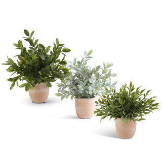 Pretty Potted Plant - 3 options!