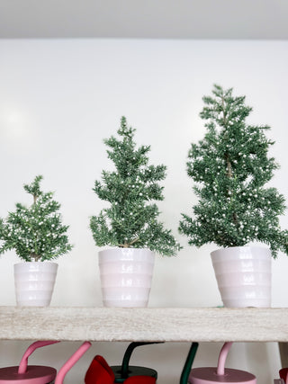 Chilled Evergreen Faux Tree Decor - 3 options!