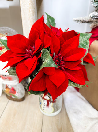 Red Poinsettia Bundle