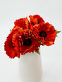 Rust Orange