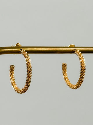 Elegance Never Fades Gold Hoop Earrings