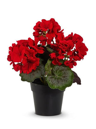 Potted faux geranium flowers, red blooms in a black pot