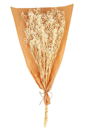 Preserved baby's breath stems with brown paper wrap and twine tie