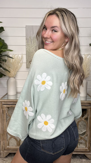 Evolved Cuteness Knit Long Sleeve Sweater Top - 4 colors!