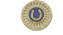 PRE-ORDER LPJ CZ Horseshoe Coin Charm
