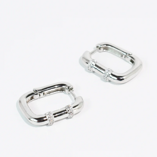 PRE-ORDERTRJ Luxe Huggie Earrings - 2 colors!