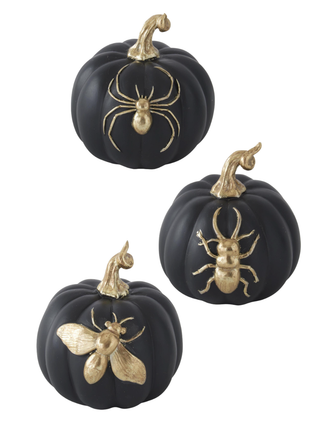 Black resin pumpkin decor set with gold-tone spiders, three-piece grouping
