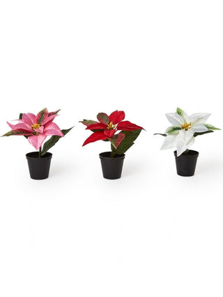 Three faux poinsettias in small black pots, pink red and white blooms