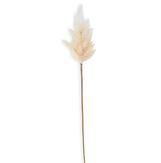 Flocked Faux Pampas Grass Branch