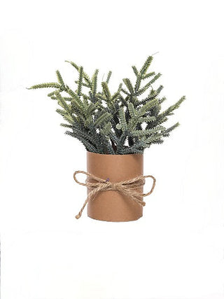 Frosted mini evergreen bouquet in kraft wrap with twine tie