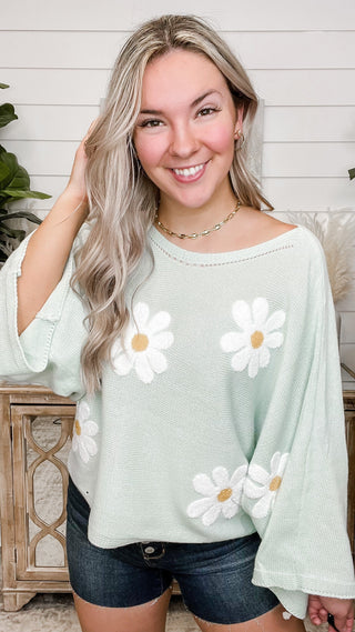 Evolved Cuteness Knit Long Sleeve Sweater Top - 4 colors!