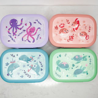 Super Cute Clip Lunchbox - 4 options!