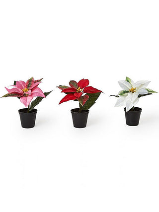 Faux poinsettia set with three potted blooms in pink, red, and white