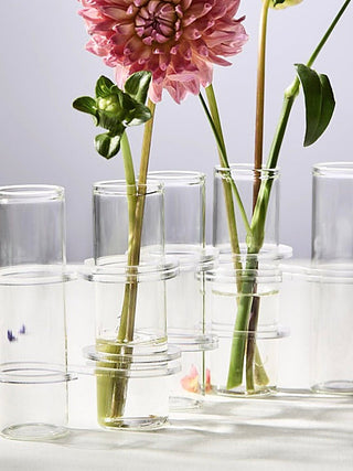 Clear glass vase tubes holding flower stems, 5-piece set
