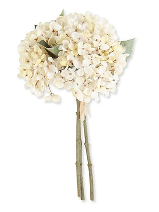 Two-tone hydrangea bundle with cream and white blooms, green leaves, two stems